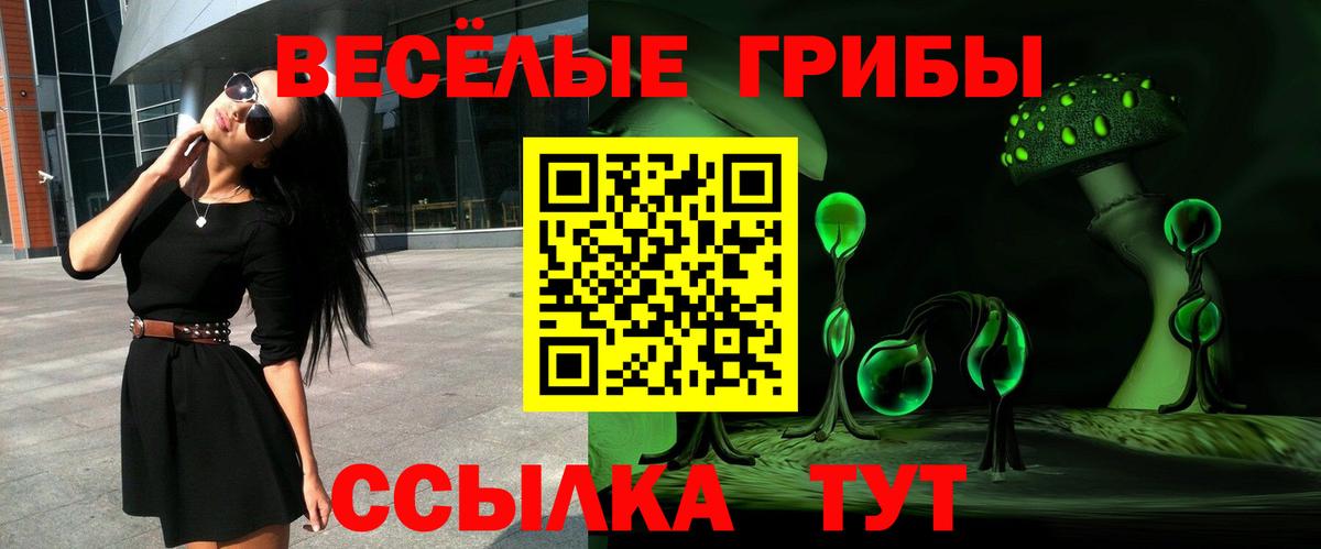 даркнет сайт  Галлюциногенные грибы MAGIC MUSHROOMS  Ногинск  Вход с VPN  Псилоцибиновые грибы мухоморы 